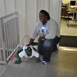 The Gator The. Gator.